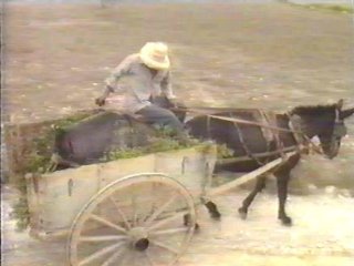 CAMPO - (18)  LABRANZA